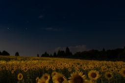 アドバイスをくれる人