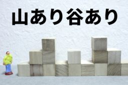 Life has its ups and downs