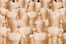 家は人間たちが作るんです