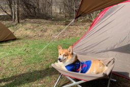 断熱気密性能は「担当営業」によって決まる