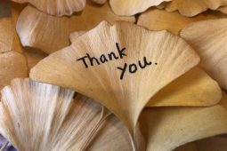 感謝を伝えます